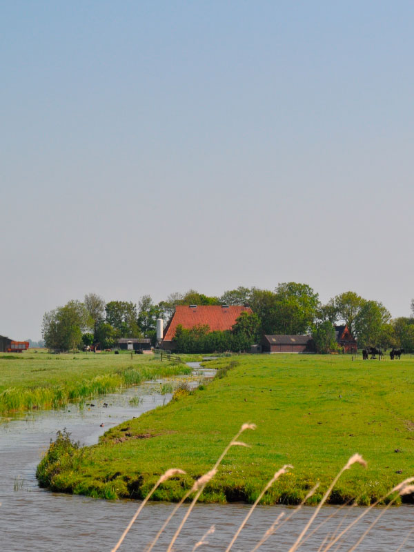 Natuerkooperaasje Baarderadiel