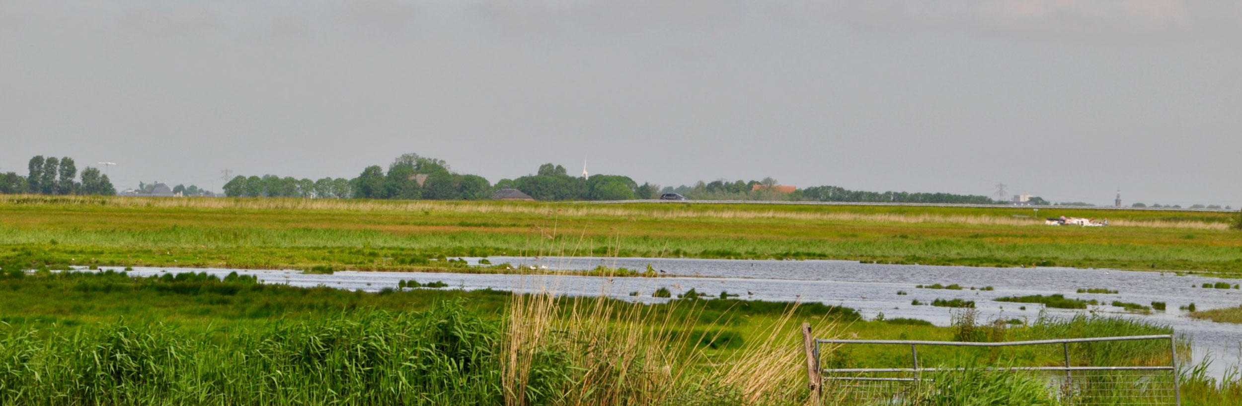 Natuerkooperaasje Baarderadiel