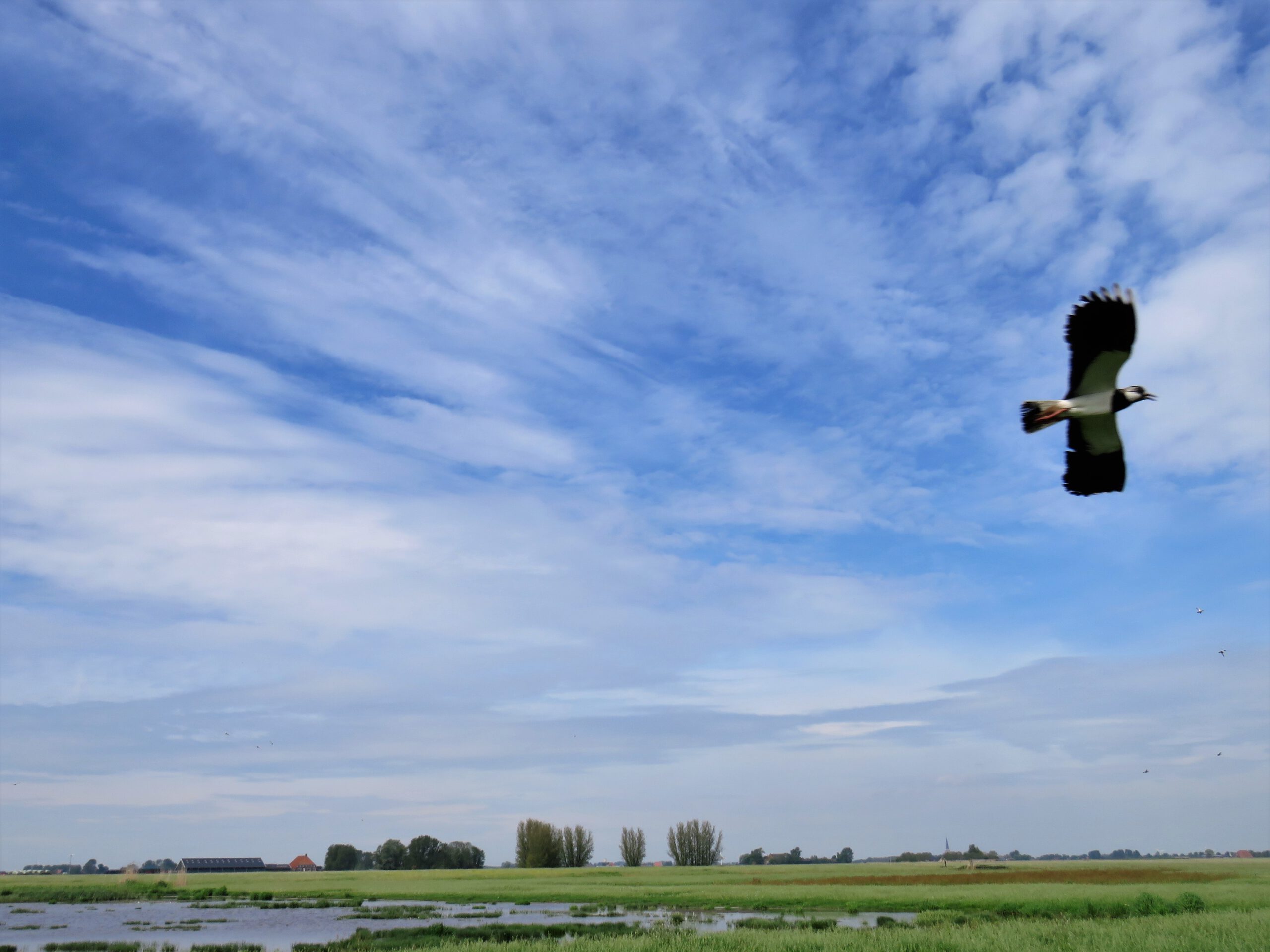 NATUERKOOPERAASJE BAARDERADIEL